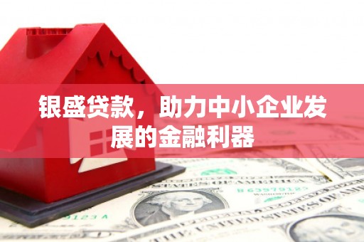 望城银盛贷款，助力中小企业发展的金融利器
