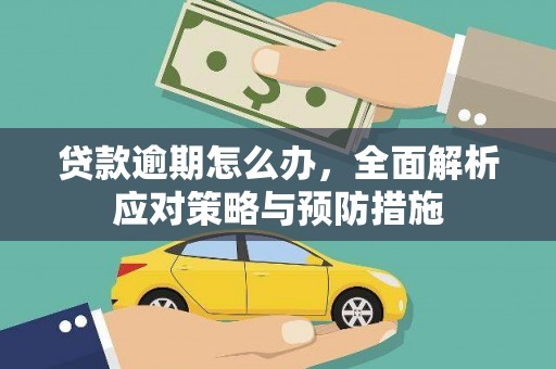 望城贷款逾期怎么办，全面解析应对策略与预防措施