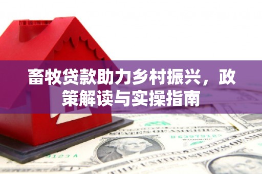 望城畜牧贷款助力乡村振兴，政策解读与实操指南