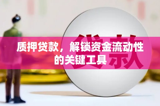 望城质押贷款，解锁资金流动性的关键工具