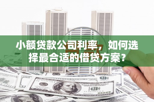 望城小额贷款公司利率，如何选择最合适的借贷方案？