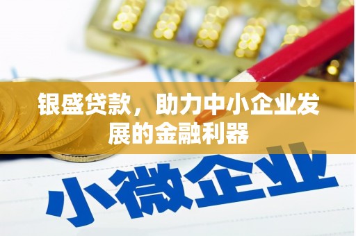 望城银盛贷款，助力中小企业发展的金融利器