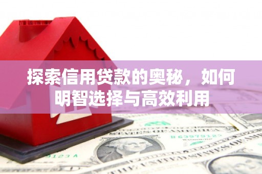 望城探索信用贷款的奥秘，如何明智选择与高效利用