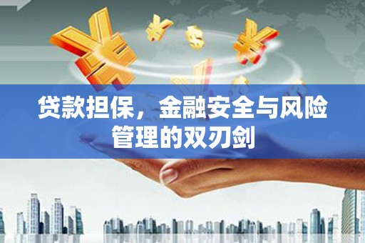 望城贷款担保，金融安全与风险管理的双刃剑