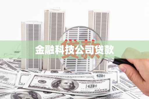 望城金融科技公司贷款