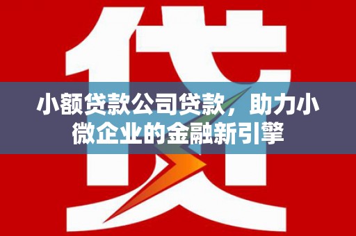 望城小额贷款公司贷款，助力小微企业的金融新引擎