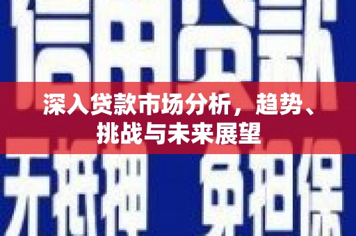 望城深入贷款市场分析，趋势、挑战与未来展望