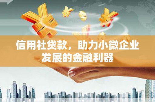 望城信用社贷款，助力小微企业发展的金融利器