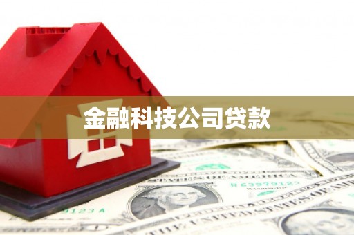 望城金融科技公司贷款