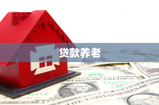 望城贷款养老