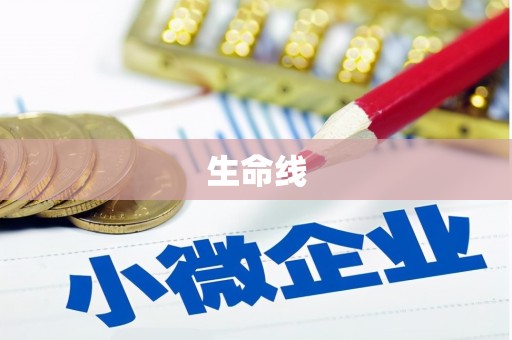 望城生命线
