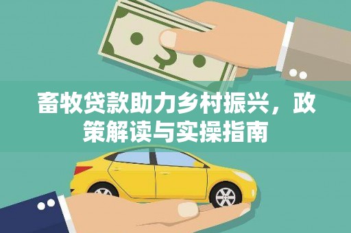 望城畜牧贷款助力乡村振兴，政策解读与实操指南