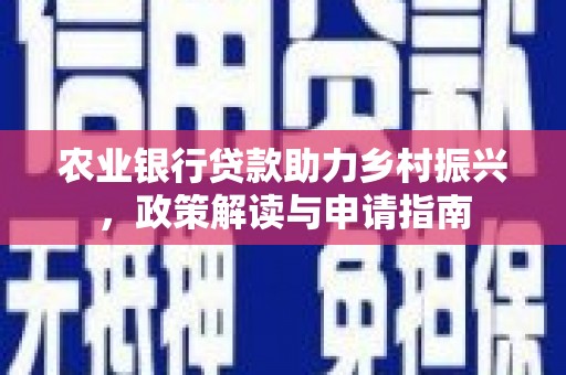 望城农业银行贷款助力乡村振兴，政策解读与申请指南