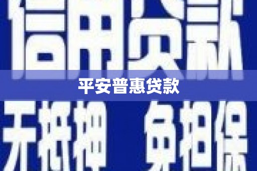 望城平安普惠贷款