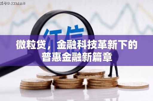 望城微粒贷，金融科技革新下的普惠金融新篇章