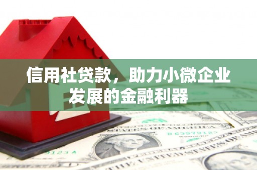 望城信用社贷款，助力小微企业发展的金融利器