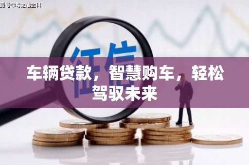 望城车辆贷款，智慧购车，轻松驾驭未来