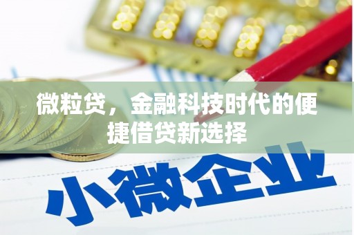 望城微粒贷，金融科技时代的便捷借贷新选择