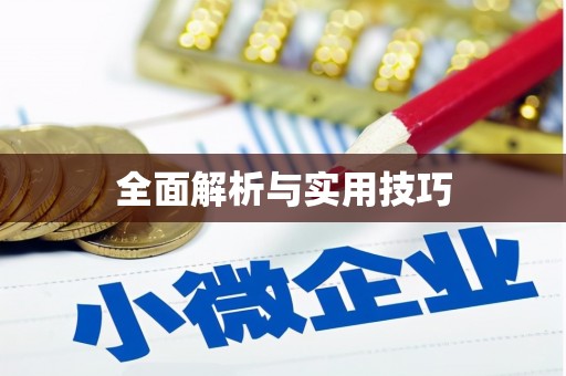 望城全面解析与实用技巧