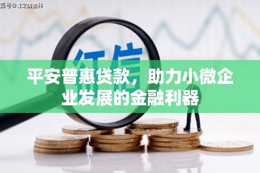 望城平安普惠贷款，助力小微企业发展的金融利器