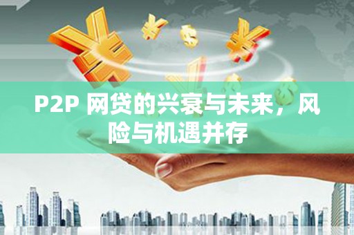 望城P2P 网贷的兴衰与未来，风险与机遇并存