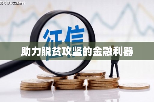 望城助力脱贫攻坚的金融利器