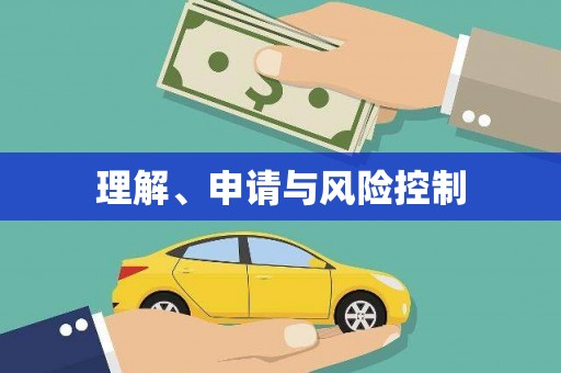 望城理解、申请与风险控制
