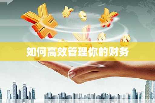 望城如何高效管理你的财务
