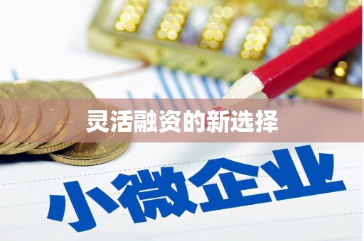 望城灵活融资的新选择