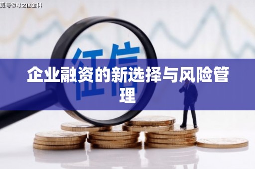 望城企业融资的新选择与风险管理
