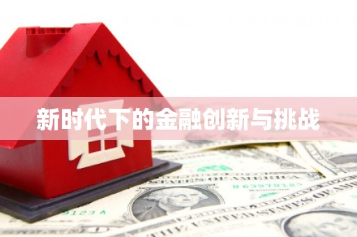 望城新时代下的金融创新与挑战