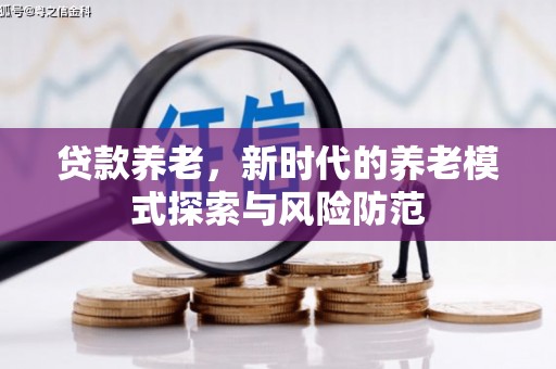 望城贷款养老，新时代的养老模式探索与风险防范