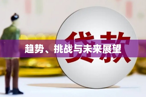 望城趋势、挑战与未来展望
