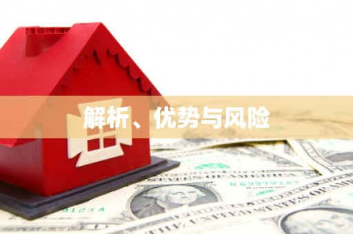 望城解析、优势与风险