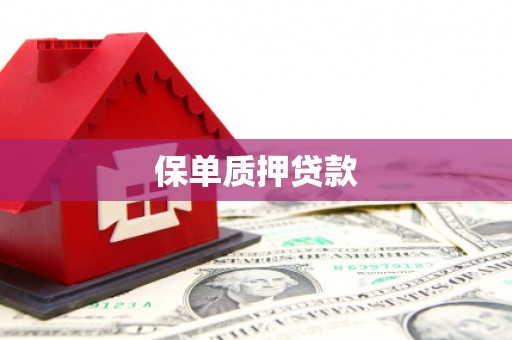 望城保单质押贷款