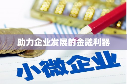 望城助力企业发展的金融利器