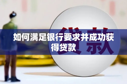 望城如何满足银行要求并成功获得贷款