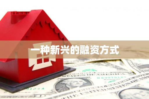 望城一种新兴的融资方式