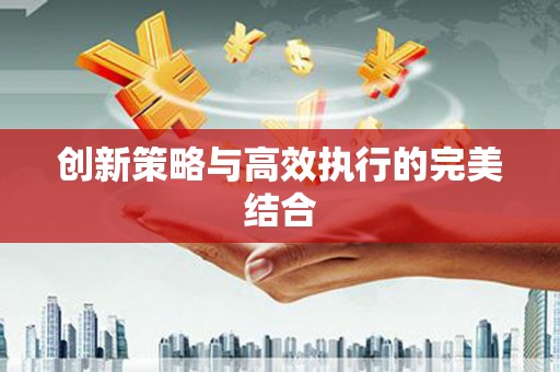 望城创新策略与高效执行的完美结合