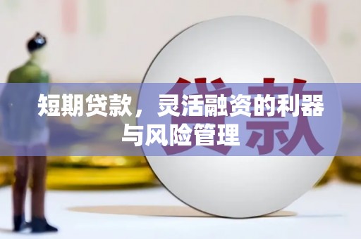 望城短期贷款，灵活融资的利器与风险管理