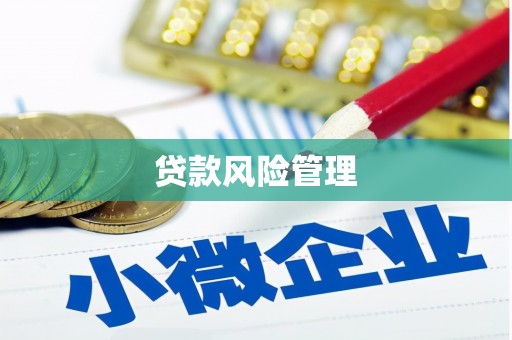 望城贷款风险管理
