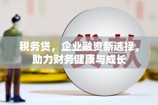 望城税务贷，企业融资新选择，助力财务健康与成长