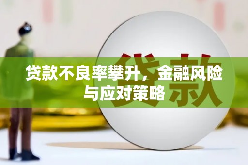 望城贷款不良率攀升，金融风险与应对策略