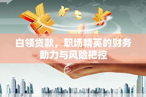 望城白领贷款,职场精英的财务助力与风险把控 望城白领贷款,职场精英的财务助力与风险把控