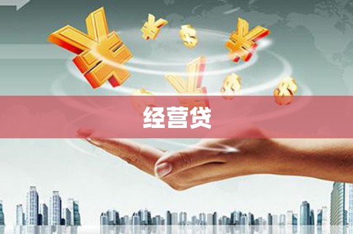望城经营贷