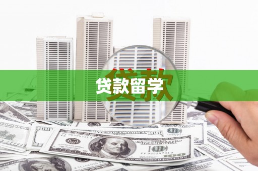 望城贷款留学
