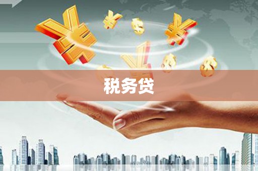 望城税务贷